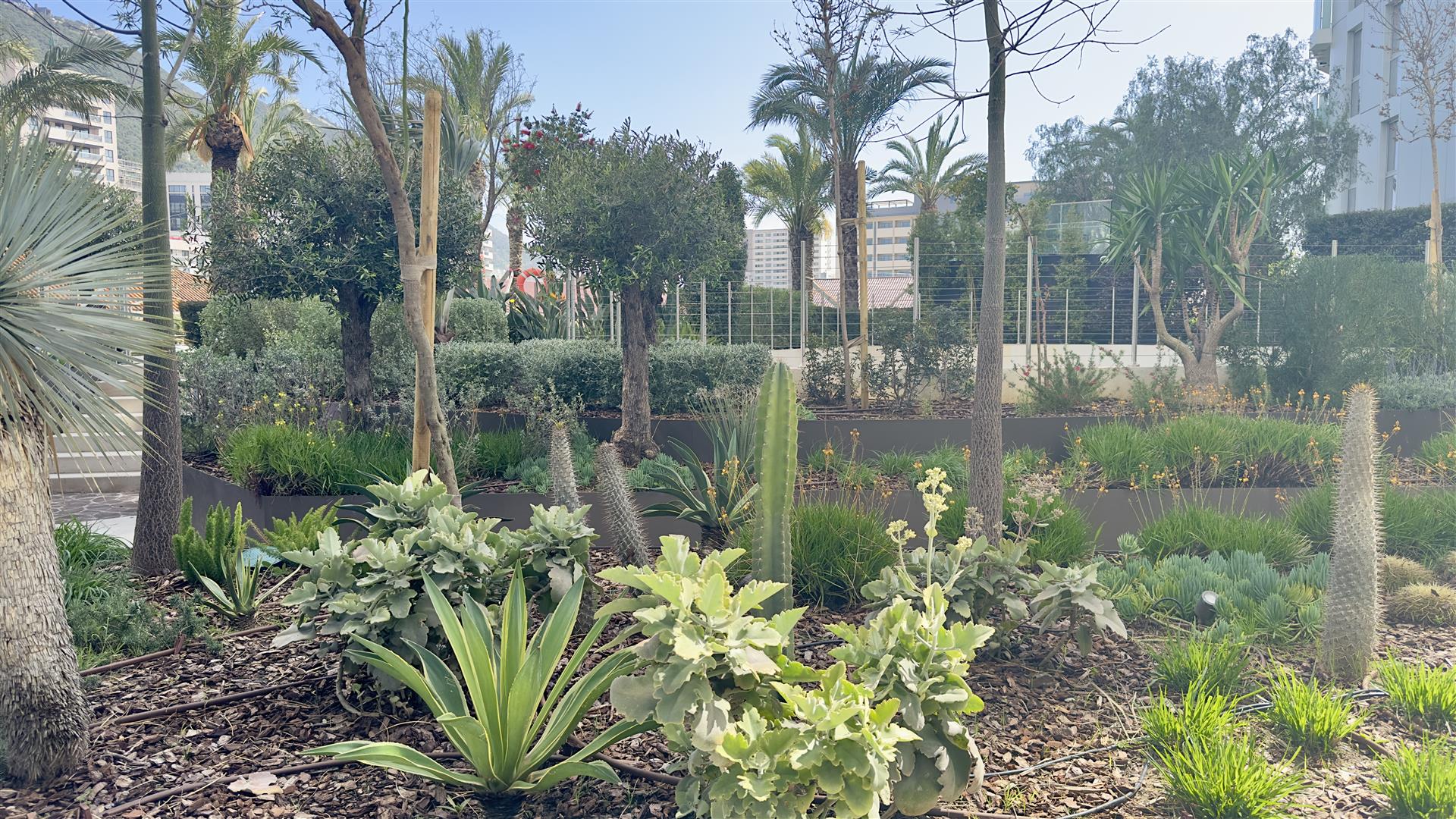 Image of Apartment - 1 Bathrooms for Rental in EuroCity-Gibraltar, Image 10